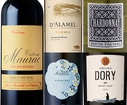 春に飲むにはこのワイン！心が躍る王道5本セット