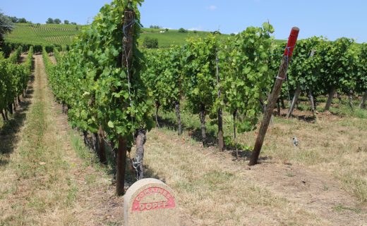 【初心者向け】5/21(水) フランスワインの基本を学ぶベーシックセミナー　～5大産地を巡りながらワインを味わう（5種）